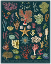 Load image into Gallery viewer, Cavallini &amp; Co 1000 Piece Jigsaw Puzzle - Ocean Flora