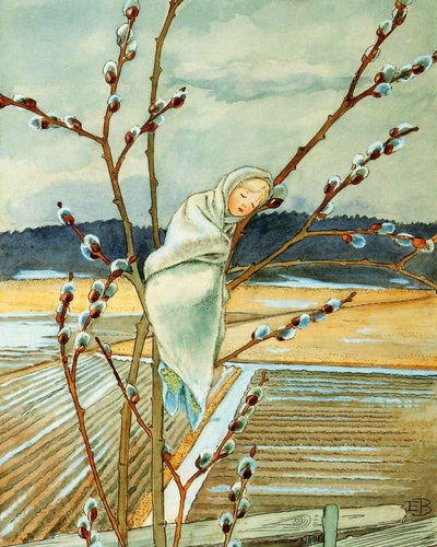 Postcard - Willow Bud Baby