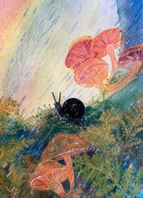 Load image into Gallery viewer, Brontë Doery Seasonal Flora &amp; Fauna Postcard Set - 8 pack