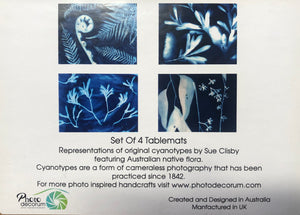 Australian Native Flora Tablemat Set