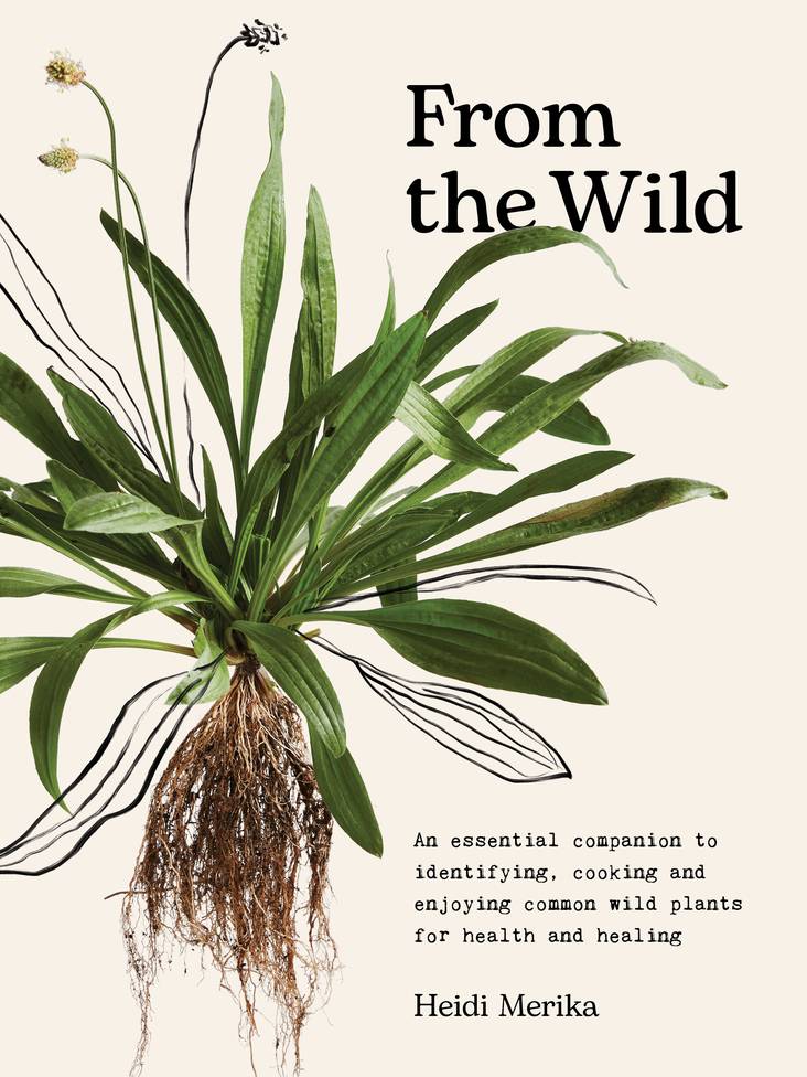 From The Wild