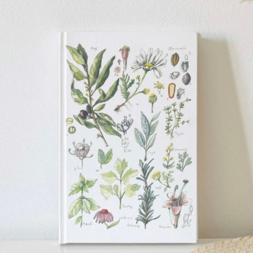 Nuovo Botanical by Anna Pignataro Unlined Journal