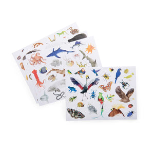 Autour du monde pack of 78 stickers