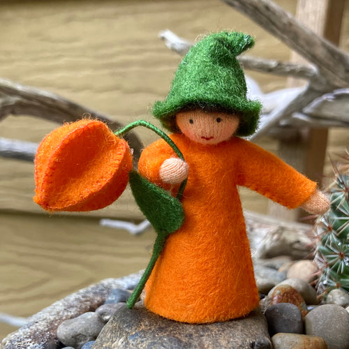 Ambrosius Flower Fairy - Chinese Lantern, green hat