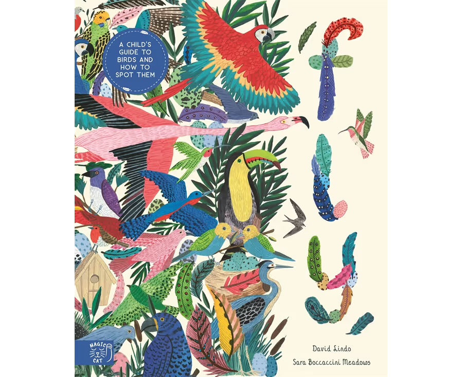 Fly : A Child’s Guide to Birds and How To Spot Them