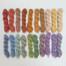 Load image into Gallery viewer, Valleymaker Polwarth Yarn Pack 100g - 20 assorted colours 8ply