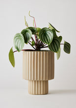 Load image into Gallery viewer, Modular Stack Planter Sand