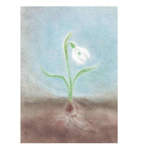 Seccorell Postcard - Snowdrop