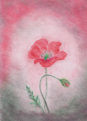 Seccorell Postcard - Poppy