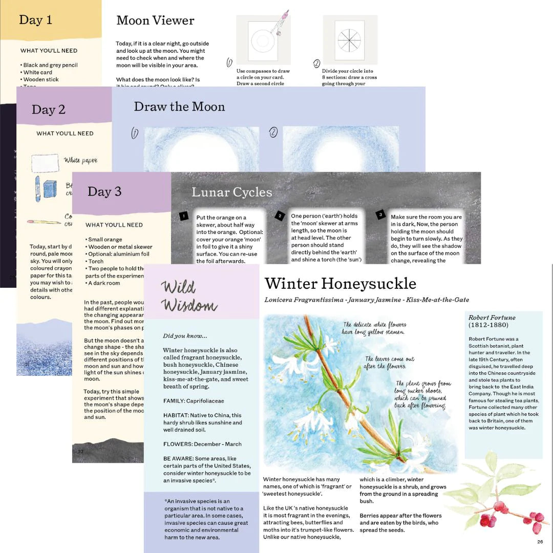 A year and a day magazine issue 16 moon epoche