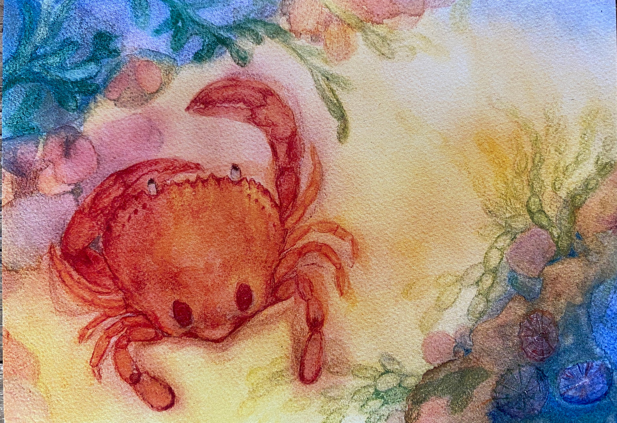 Brontë Doery Postcard - Sand Crab – Epoche