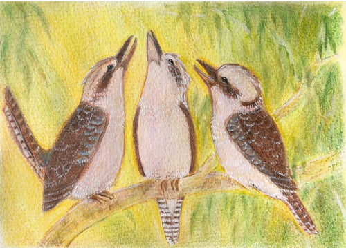 Brontë Doery Spring Postcard - Kookaburras