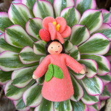 Load image into Gallery viewer, Ambrosius Flower Fairy - Camellia