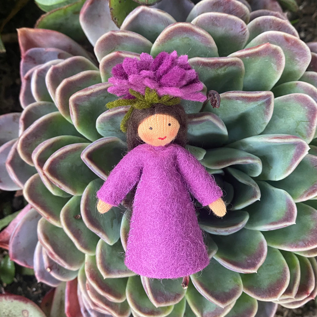 Ambrosius Flower Fairy - Michaelmas Daisy