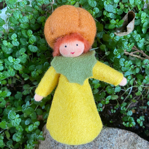 Ambrosius Pumpkin Boy - Large