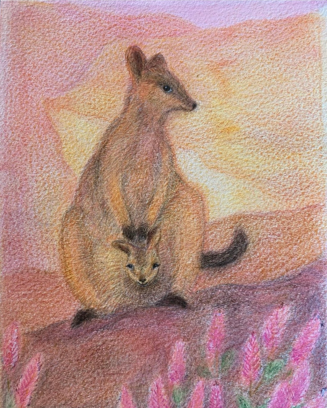 Brontë Doery Spring Postcard - Rock Wallaby