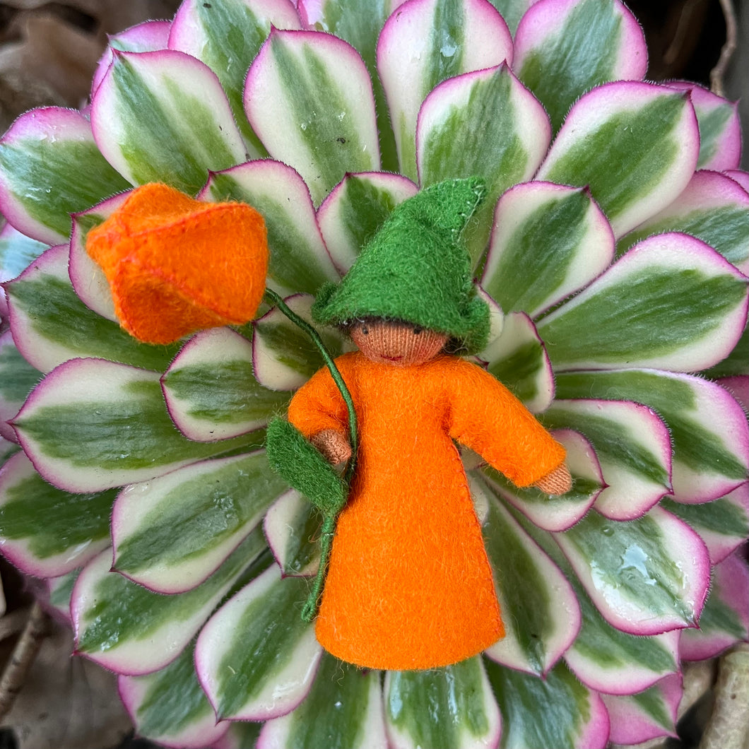 Ambrosius Flower Fairy - Chinese Lantern, green hat