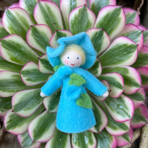 Ambrosius Flower Fairy - Aqua Morning Glory (Short hair)