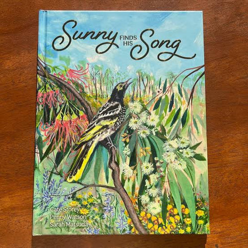 Sunny finds his Song