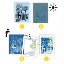 Load image into Gallery viewer, Djeco Cyanotype Au Claire De La Lune