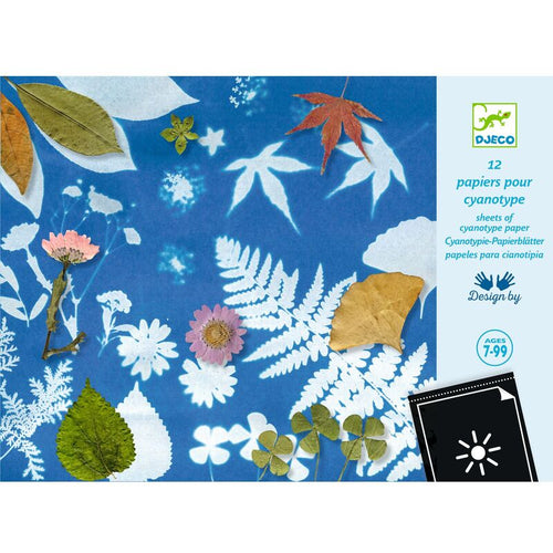 Djeco Cyanotype Paper - 12 sheets