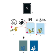 Load image into Gallery viewer, Djeco Cyanotype Paper - 12 sheets