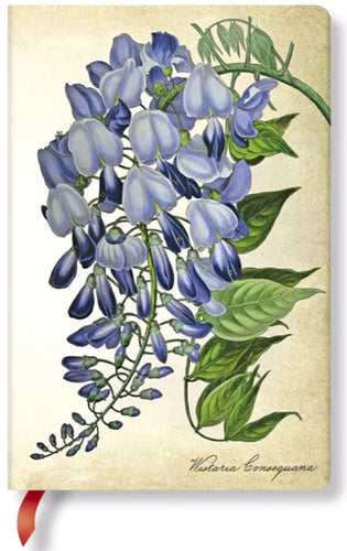 Paperblanks Painted Botanicals Weeping Wisteria Mini Unlined Journal