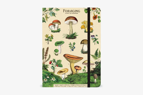 Cavallini Foraging Mushrooms Large Notebook