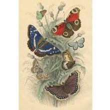 Load image into Gallery viewer, John Derian 750 Piece Puzzle - Dancing Butterflies