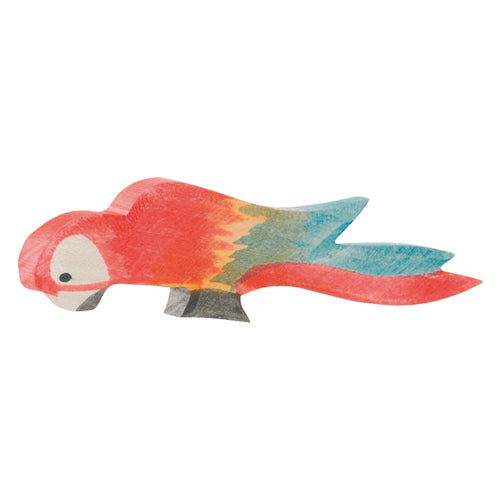 Ostheimer Parrot - Multicolour