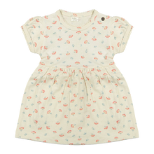 Load image into Gallery viewer, Riffle Amsterdam Abigail Dress Pointelle Rib