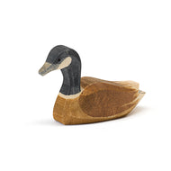 Ostheimer Canadian Goose - swimming