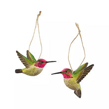 Load image into Gallery viewer, Wildlife Garden Anna’s Hummingbird - assorted