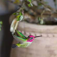 Load image into Gallery viewer, Wildlife Garden Anna’s Hummingbird - assorted