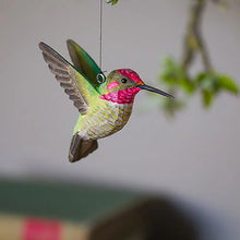 Load image into Gallery viewer, Wildlife Garden Anna’s Hummingbird - assorted