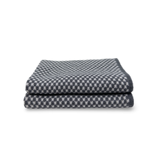 Load image into Gallery viewer, Ecovask Elements Dishcloth - 2 pack