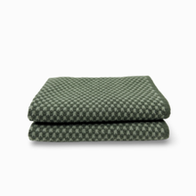 Load image into Gallery viewer, Ecovask Elements Dishcloth - 2 pack
