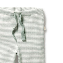 Load image into Gallery viewer, Wilson &amp; Frenchy Organic Stripe Rib Legging - Fern