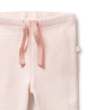 Load image into Gallery viewer, Wilson &amp; Frenchy Organic Stripe Rib Legging - Cantaloupe