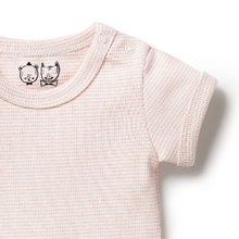 Load image into Gallery viewer, Wilson &amp; Frenchy Organic Stripe Rib Bodysuit - Cantaloupe
