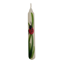 Birthday Candle - Ladybird on White