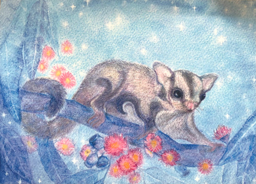 Brontë Doery Winter Postcard - Sugar Glider