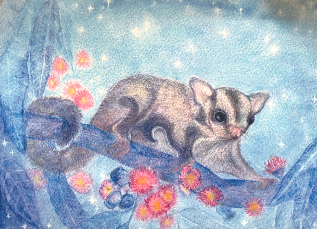 Brontë Doery Winter Postcard - Sugar Glider