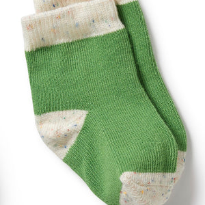 Wilson & Frenchy Organic Cotton Socks - Mint, Green, Cactus