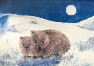 Brontë Doery Winter Postcard - Wombats