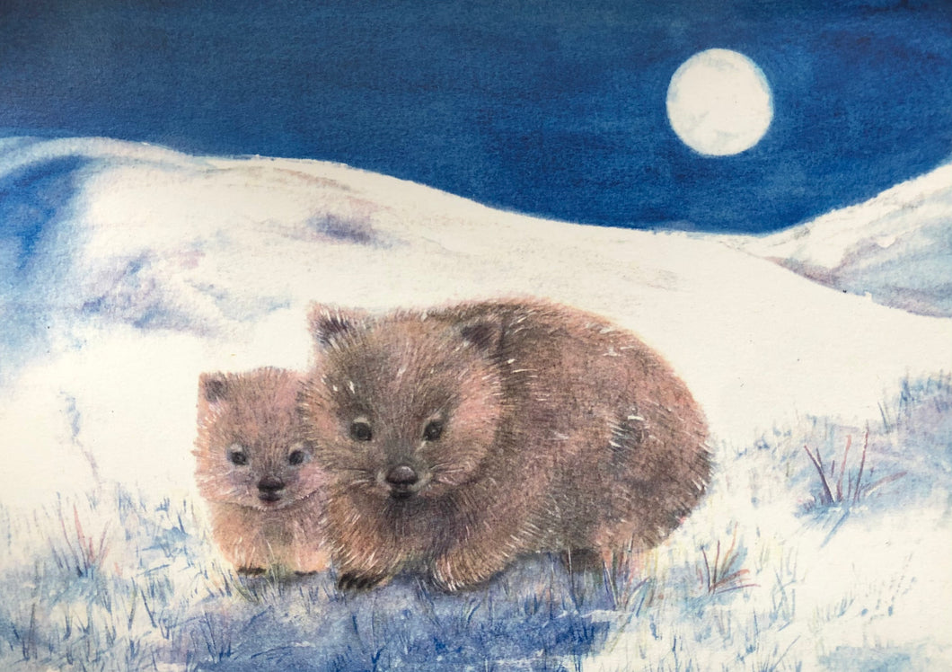 Brontë Doery Winter Postcard - Wombats