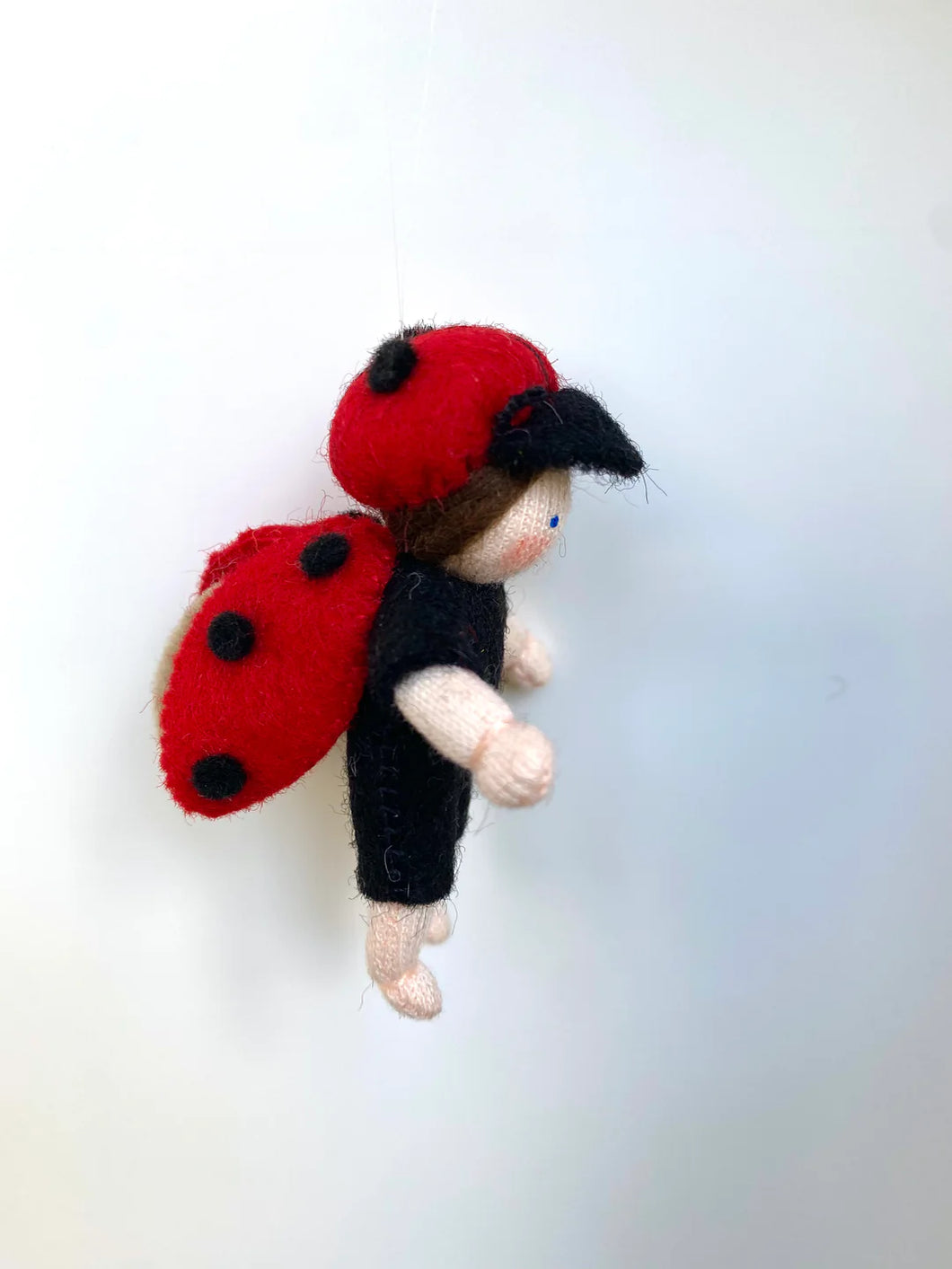 Ambrosius Ladybird Hanging Boy