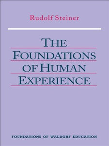 The Foundations of Human Experience