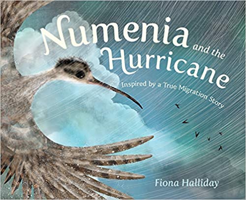 Numenia and the Hurricane
