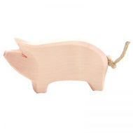 Ostheimer Pig - head high
